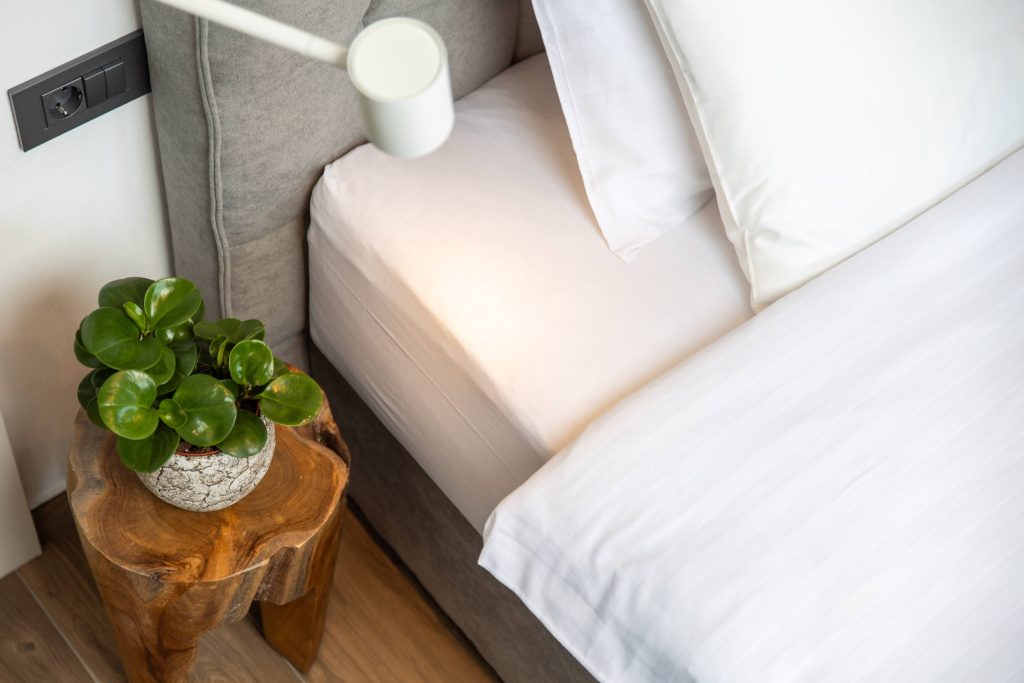 Bedroom nightstand detail with plant and fresh flowers