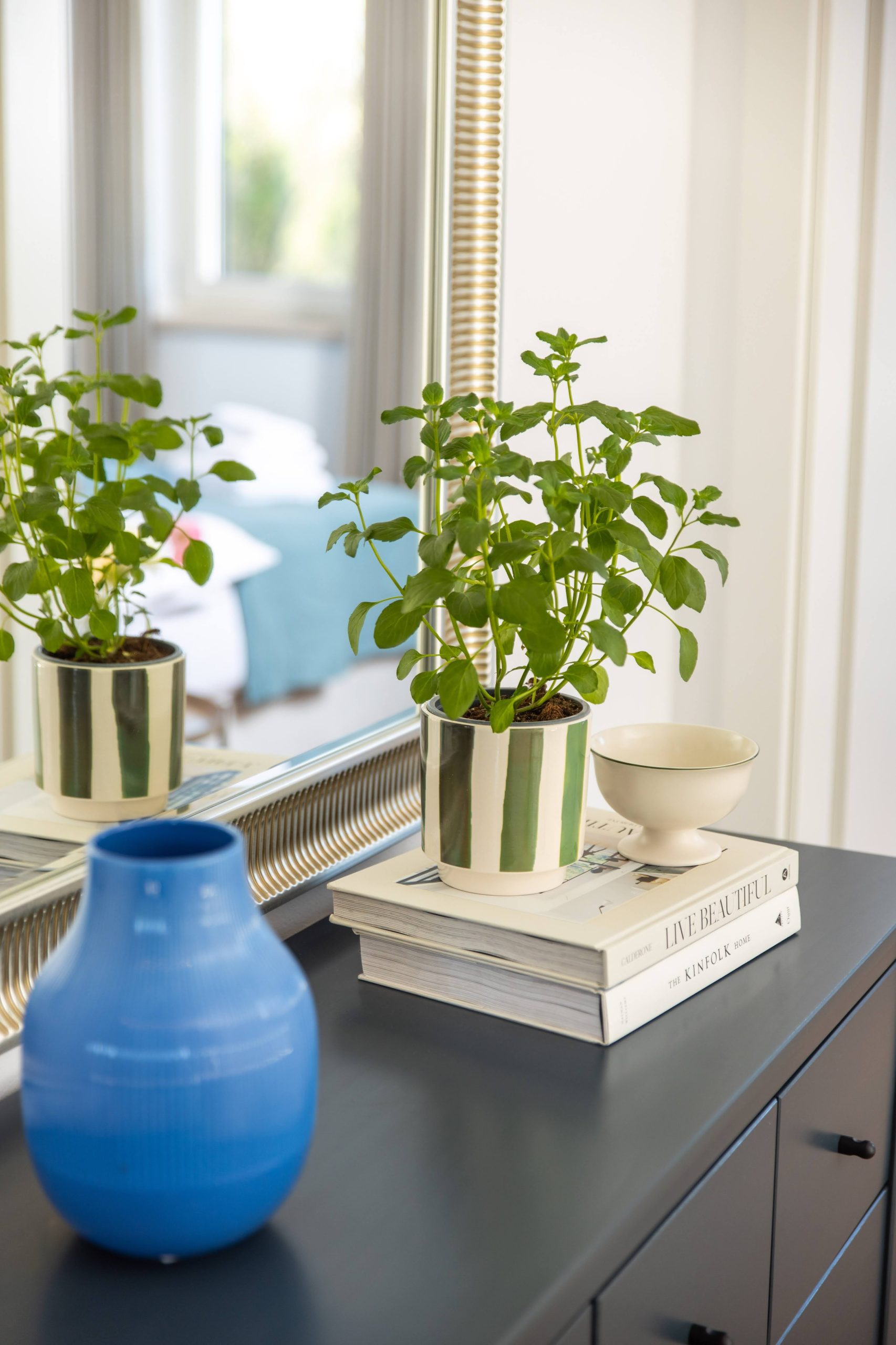 Living room console table with plant detail
