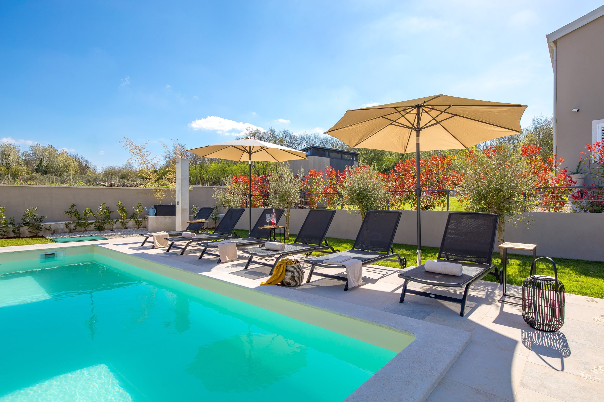 Olive trees framing the private pool terrace
