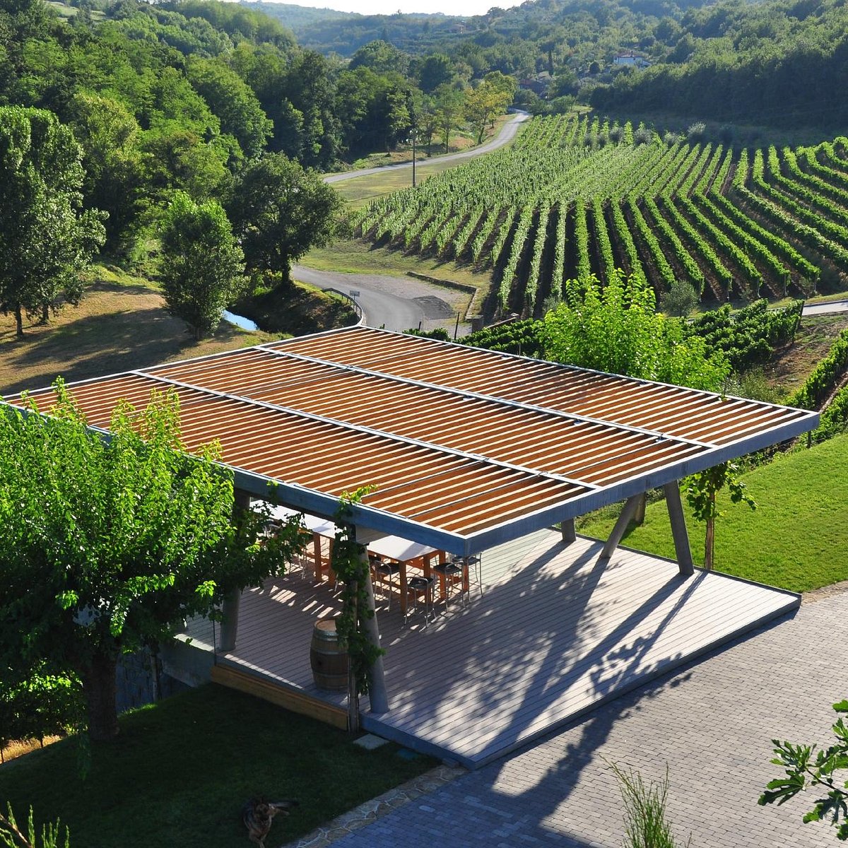 Kozlović Winery